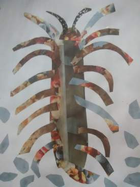 The Centipede in water