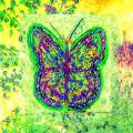 Green Butterfly en pointe 