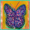 Fanciful Butterfly five