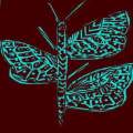 Butterfly Stem six