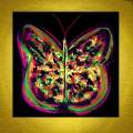 Fanciful Butterfly four