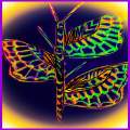 Butterfly stem