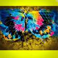 Rainbow moth two