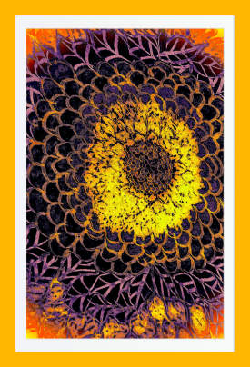 Sunset flower